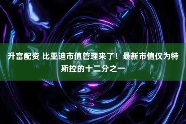 升富配资 比亚迪市值管理来了!最新市值仅为特斯拉的十二分之一