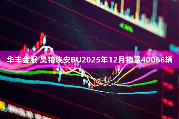 华丰金服 昊铂埃安BU2025年12月销量40066辆